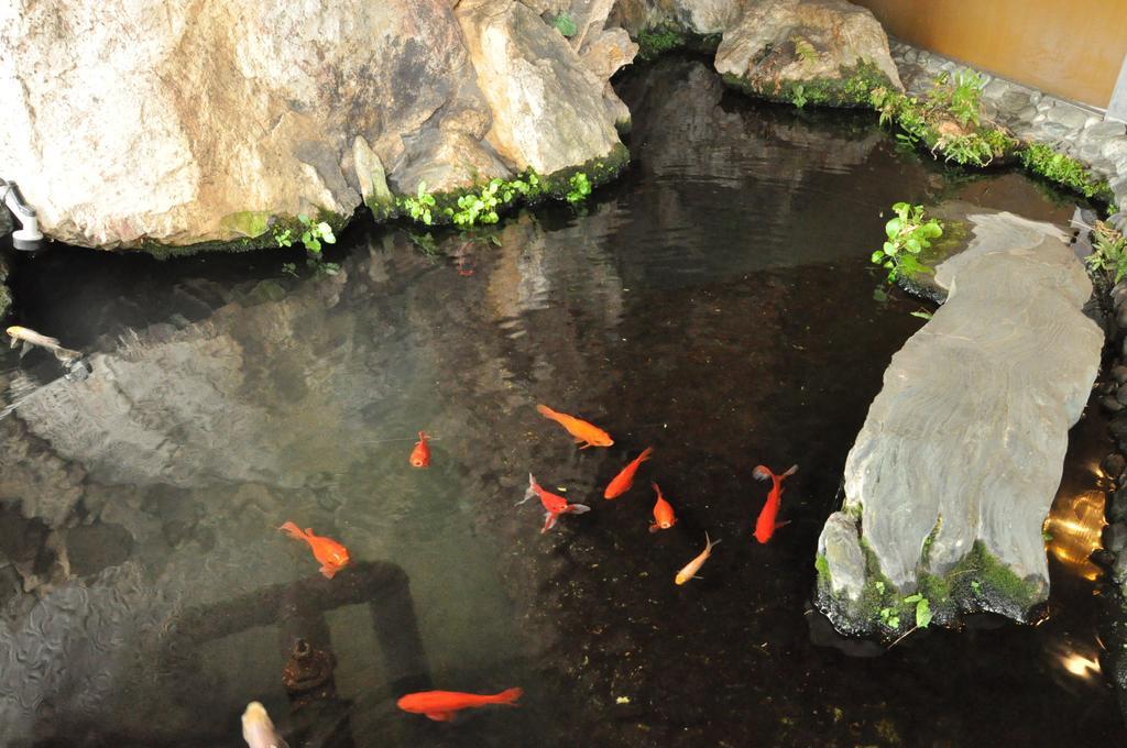 Ryokan Kichiman Kōchi Eksteriør billede